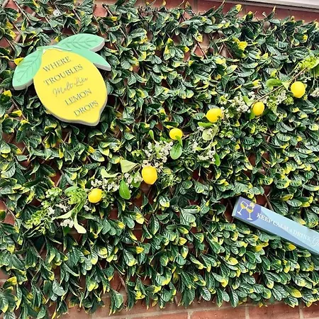 Апартаменты Walkers Row Гисборо